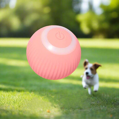 Jouet chien | BalleToc™ balle interactive - Jappy Toutou
