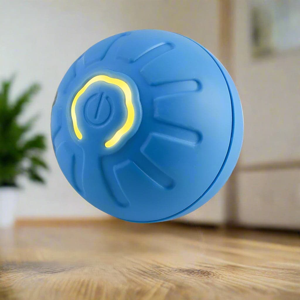 Jouet chien | BalleToc™ balle interactive - Jappy Toutou