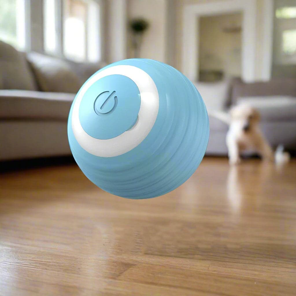 Jouet chien | BalleToc™ balle interactive - Jappy Toutou