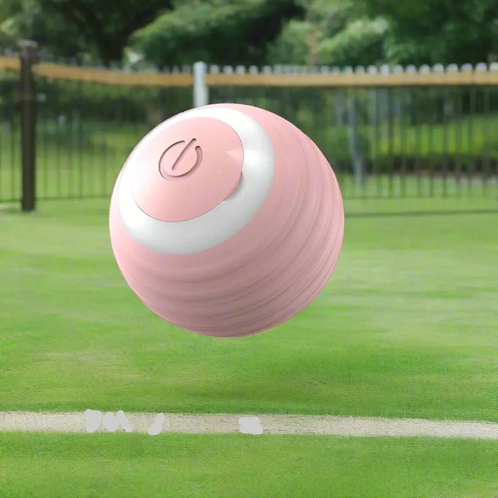 Jouet chien | BalleToc™ balle interactive - Jappy Toutou