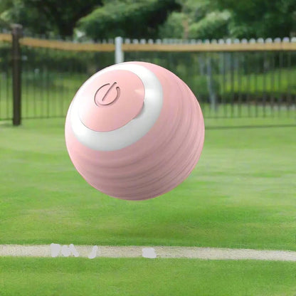 Jouet chien | BalleToc™ balle interactive - Jappy Toutou