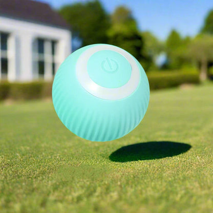 Jouet chien | BalleToc™ balle interactive - Jappy Toutou