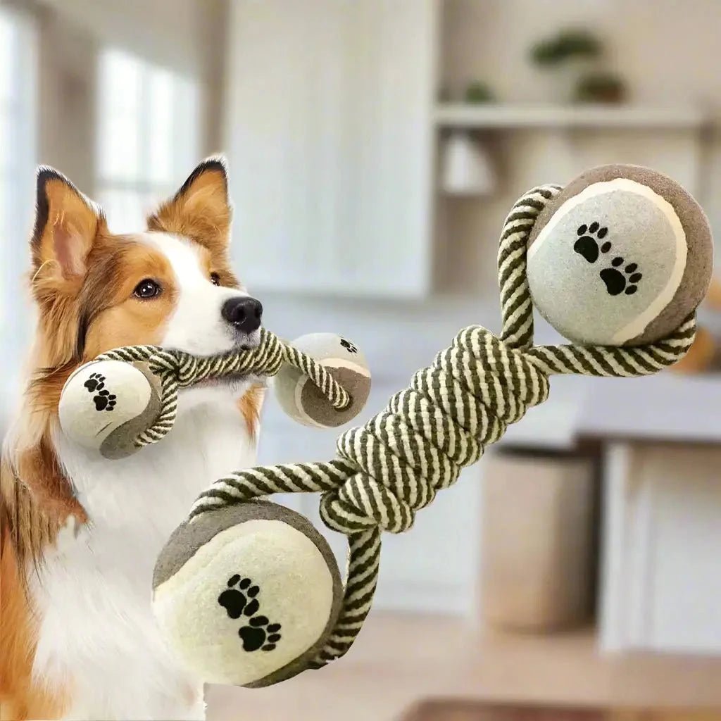 Jouet chien - Croc'balle™ : l'ami idéal pour des heures de jeu - Jappy Toutou