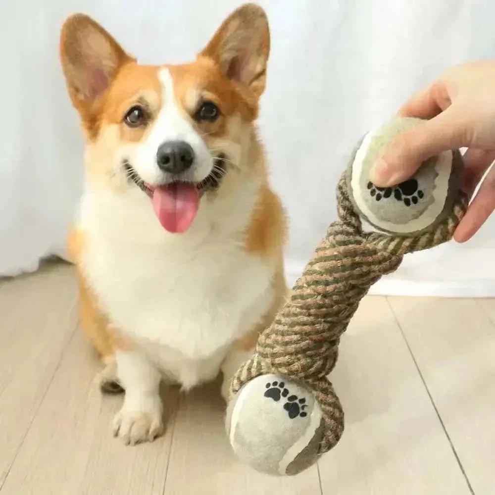 Jouet chien - Croc'balle™ : l'ami idéal pour des heures de jeu - Jappy Toutou