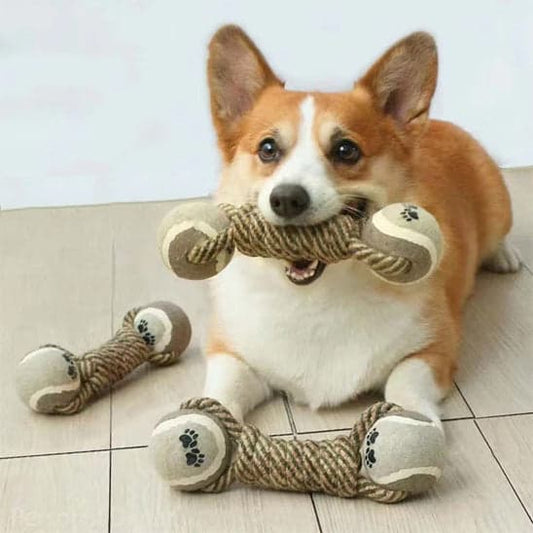 Jouet chien - Croc'balle™ : l'ami idéal pour des heures de jeu - Jappy Toutou