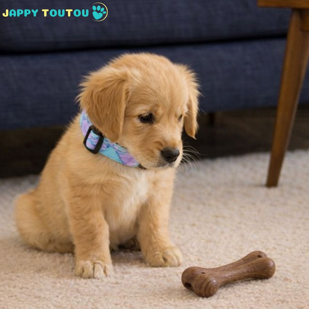 Jouet chien indestructible | JappyUltraChew™ - Jappy Toutou
