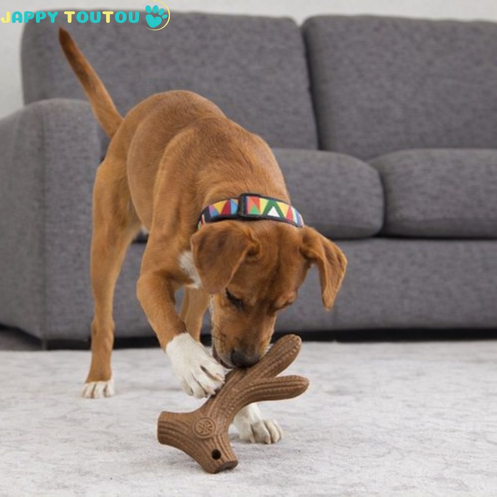 Jouet chien indestructible | JappyUltraChew™ - Jappy Toutou