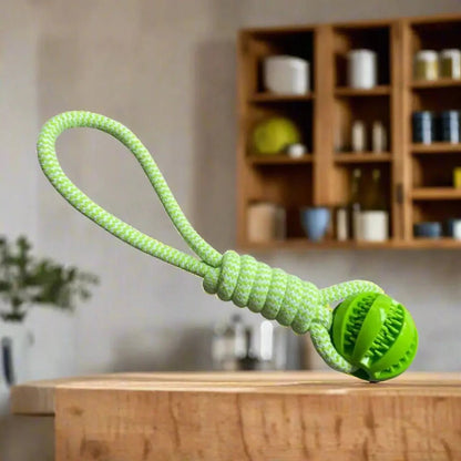 Jouet chien - Pop'Croc™ : le jeu ludique transforme ses journées - Jappy Toutou