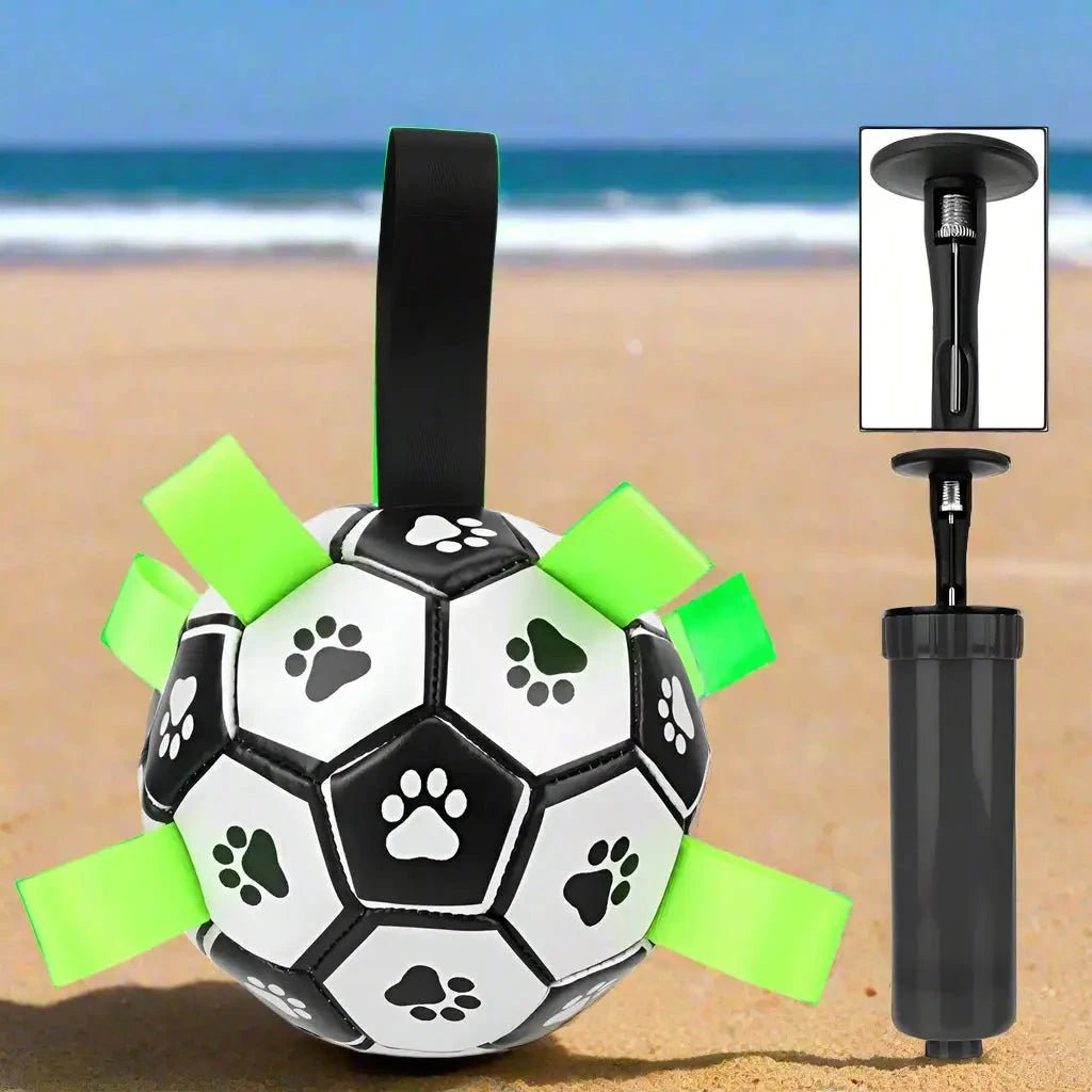 Jouet chien | TruffeBall™ Ballon interactif idéal - pompe fourni