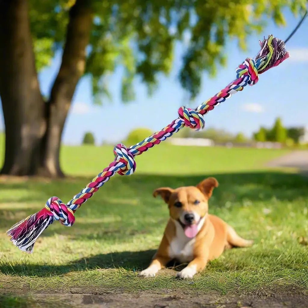 Jouet pour chien - en corde Lasso Canin™ - Jappy Toutou