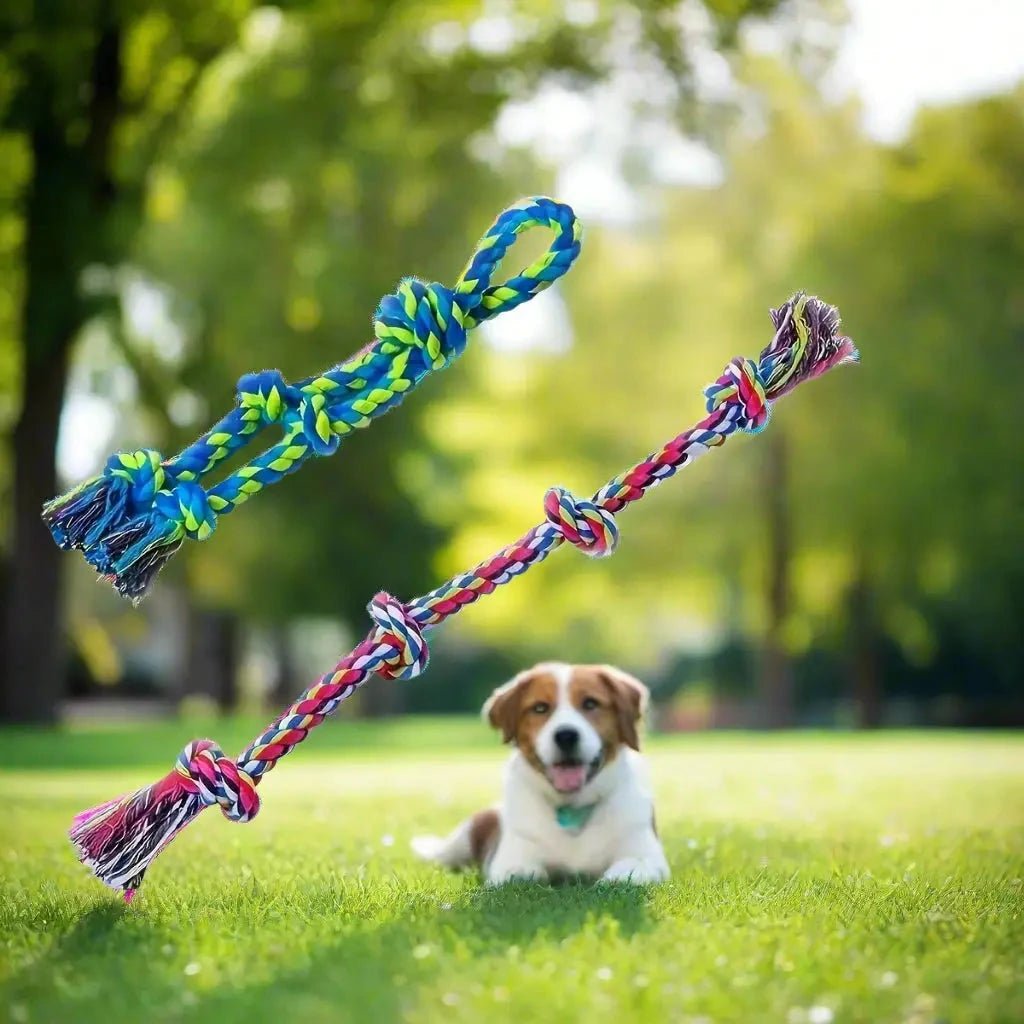 Jouet pour chien - en corde Lasso Canin™ - Jappy Toutou