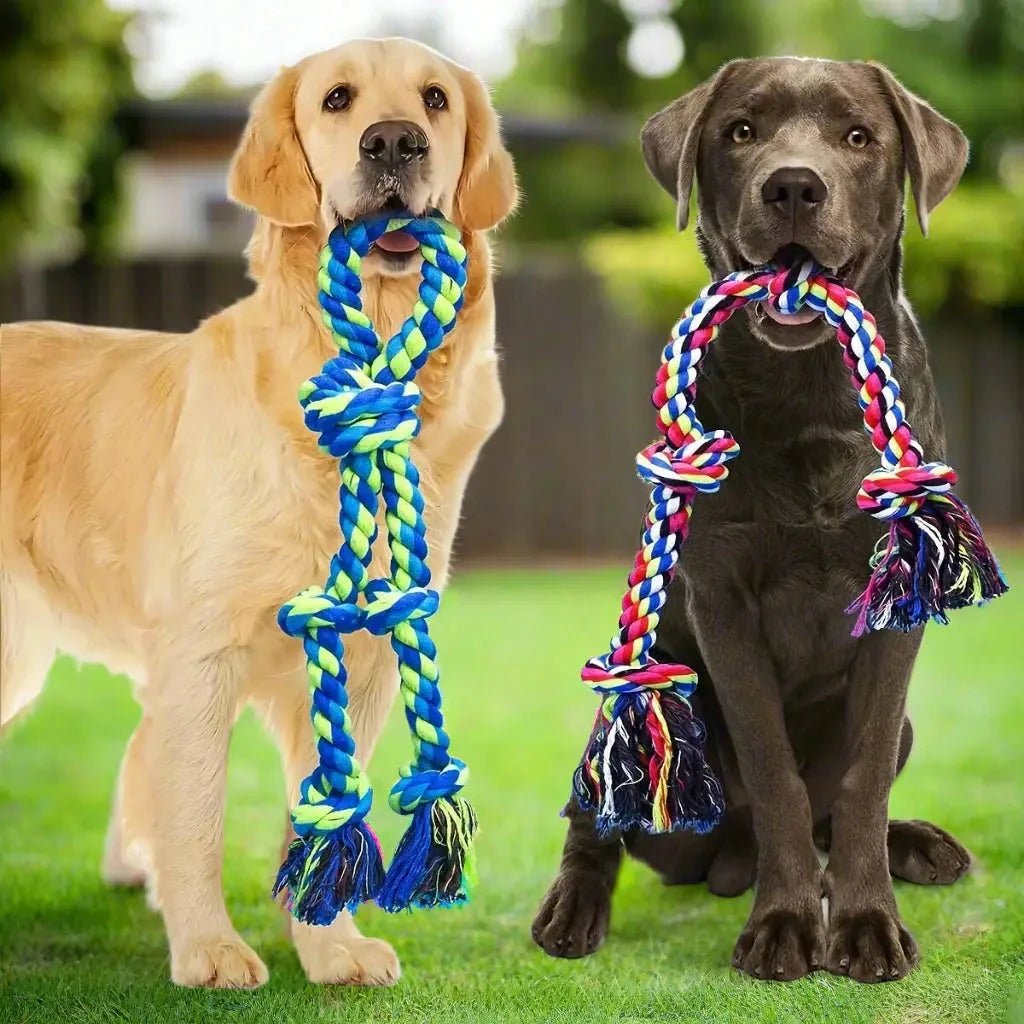 Jouet pour chien - en corde Lasso Canin™ - Jappy Toutou