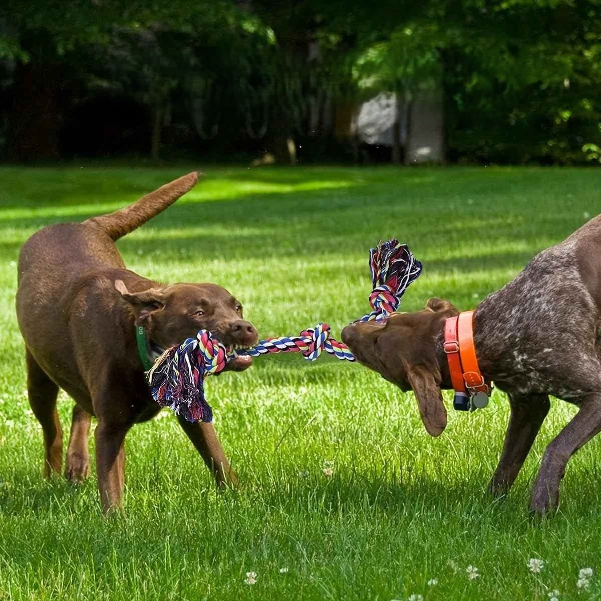 Jouet pour chien - en corde Lasso Canin™ - Jappy Toutou