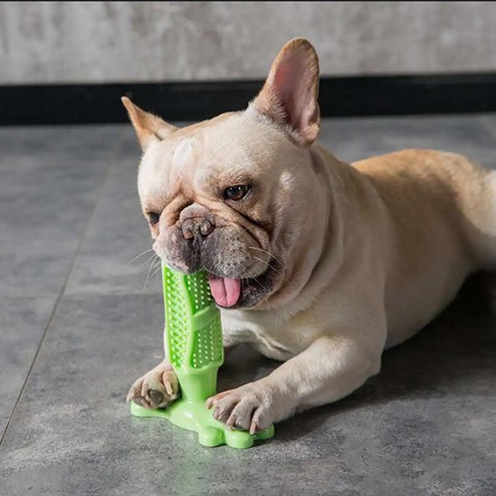 Jouet pour chien indestructible | JappyCrazyBite™ ultra - résistant - Jappy Toutou