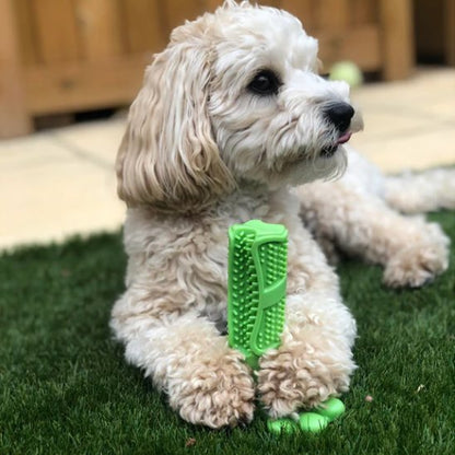 Jouet pour chien indestructible | JappyCrazyBite™ ultra - résistant - Jappy Toutou