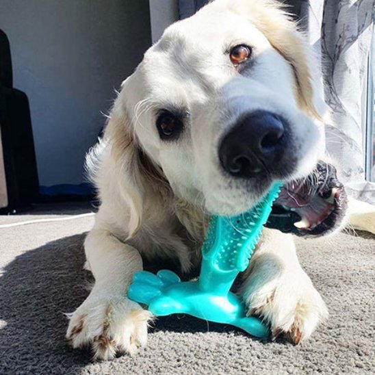 Jouet pour chien indestructible | JappyCrazyBite™ ultra - résistant - Jappy Toutou