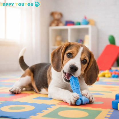 Jouet pour chien indestructible | JappyCrazyBite™ ultra - résistant - Jappy Toutou