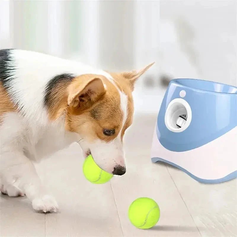 Jouet pour chien | Lance-BalleX™ - Jappy Toutou