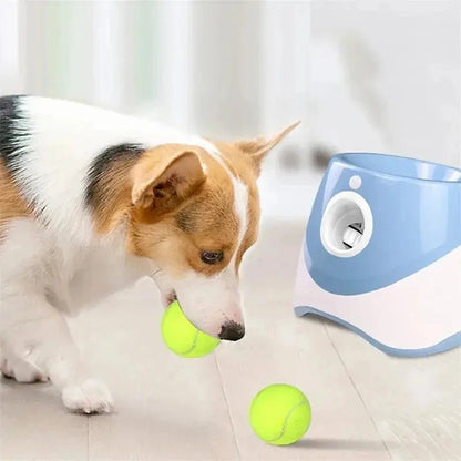 Jouet pour chien | Lance-BalleX™ - Jappy Toutou