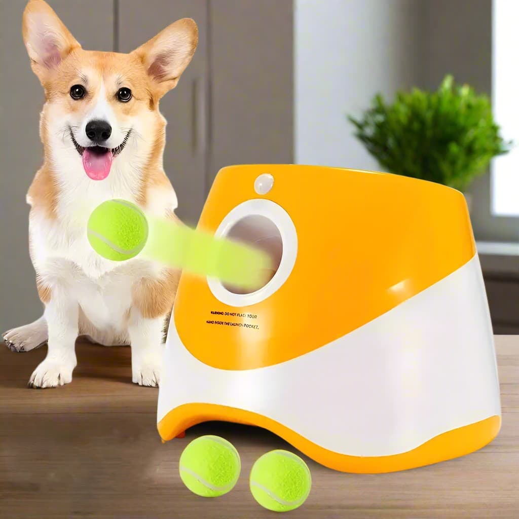 Jouet pour chien | Lance-BalleX™ - Jappy Toutou