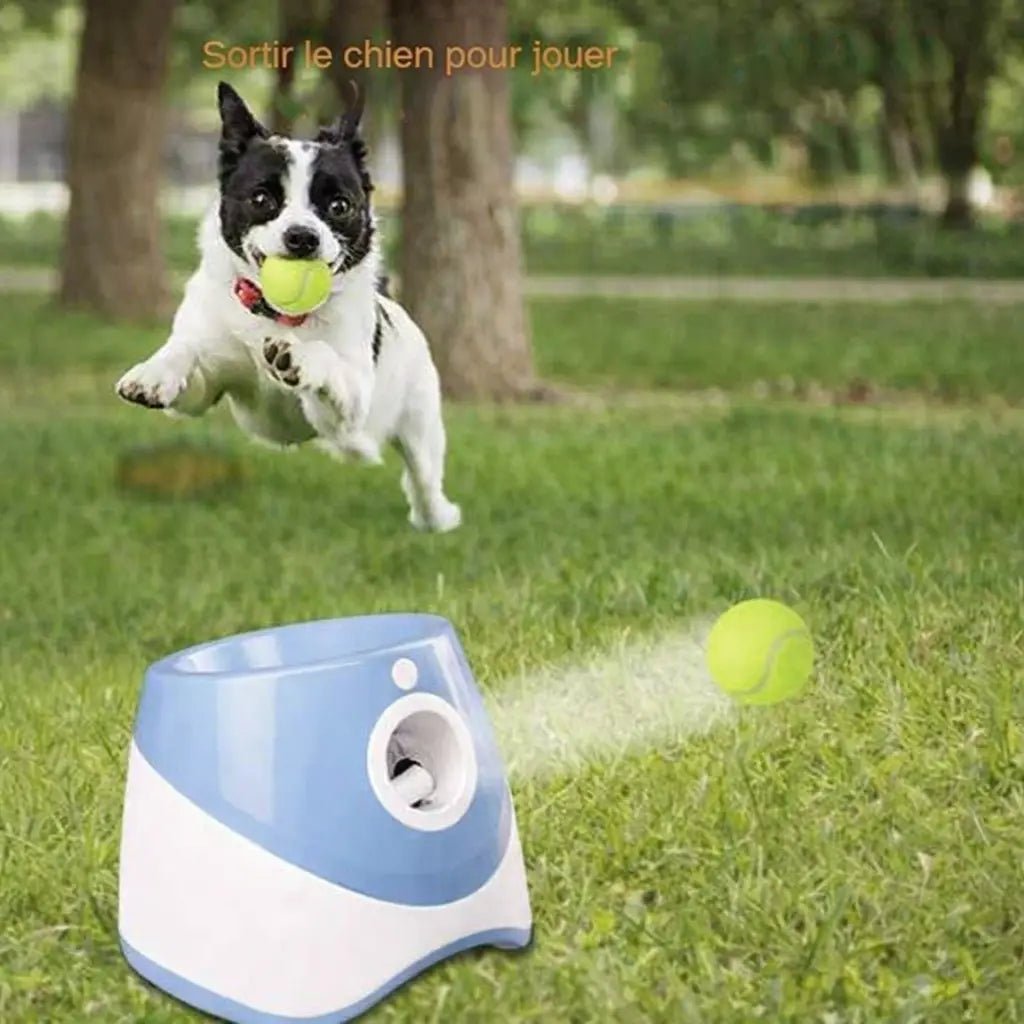 Jouet pour chien | Lance-BalleX™ - Jappy Toutou