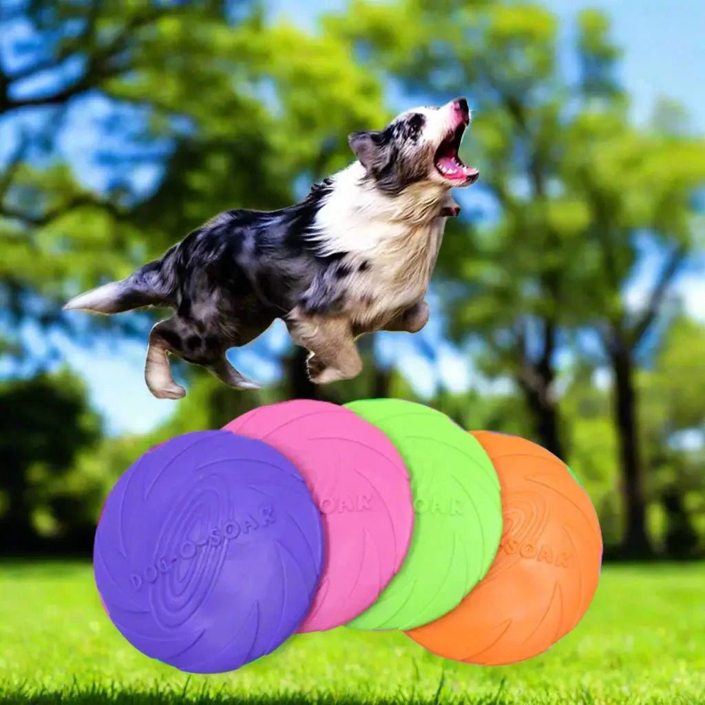 Jouet pour chien | Lanceur Futé™ - Jappy Toutou