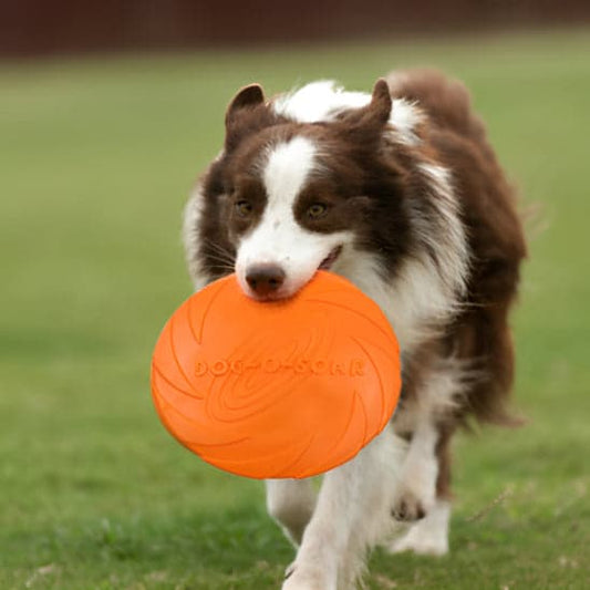 Jouet pour chien | Lanceur Futé™ - Jappy Toutou