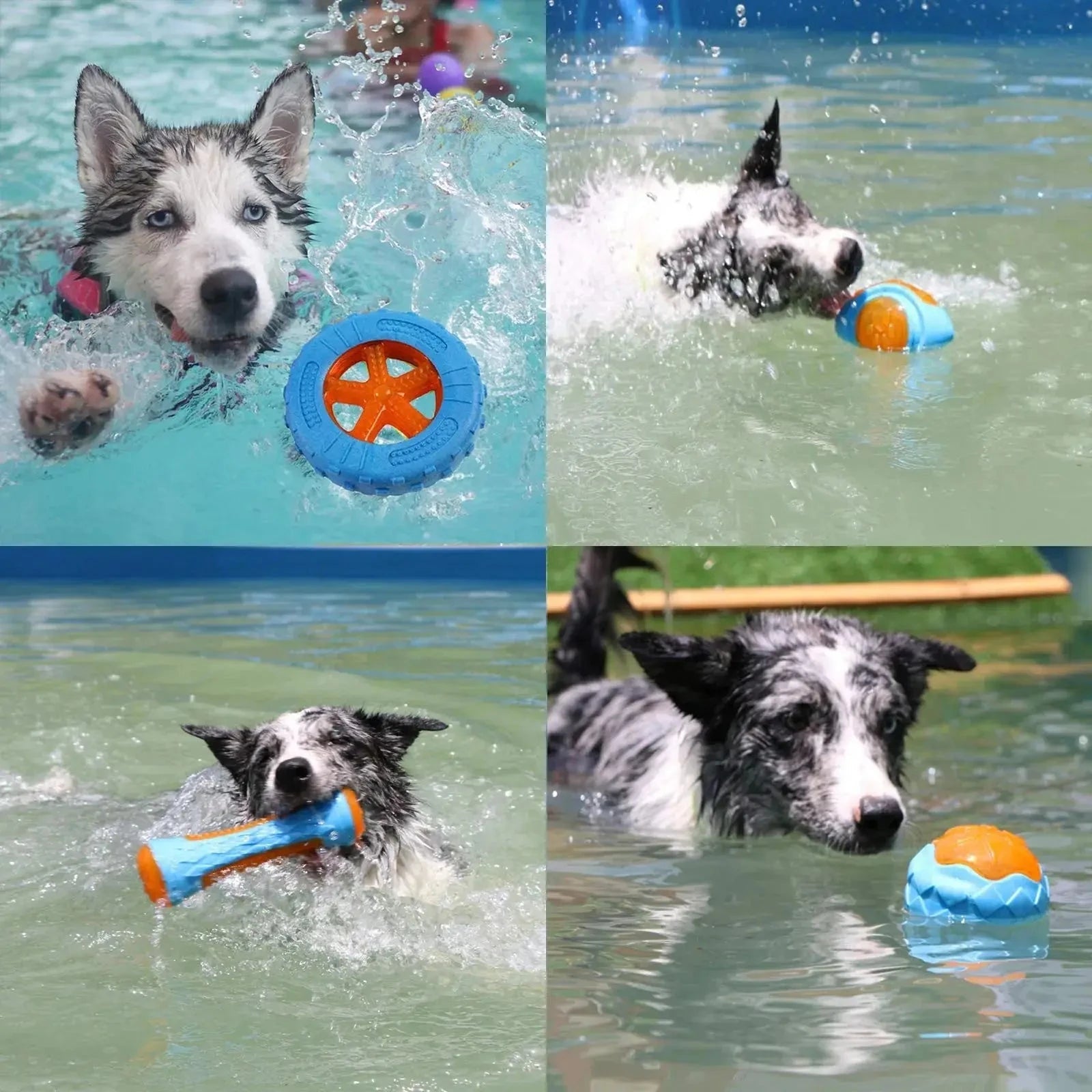 Jouet pour chien | PowerCroc™ - Jappy Toutou