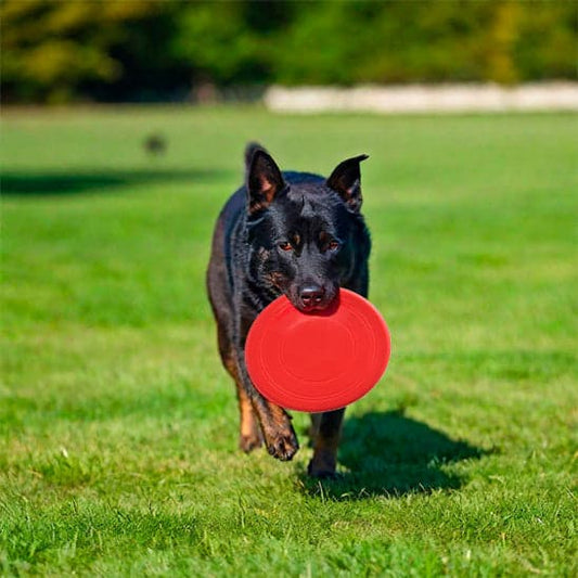 le jouet pour chien | frisbee CaniJet™, ultra-résistant