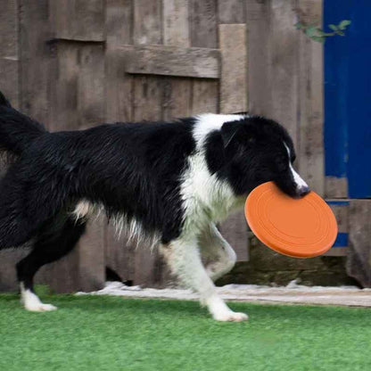 Jouet pour chien - type frisbee CaniJet™ - Le Jeu par excellence tout terrain - Jappy Toutou