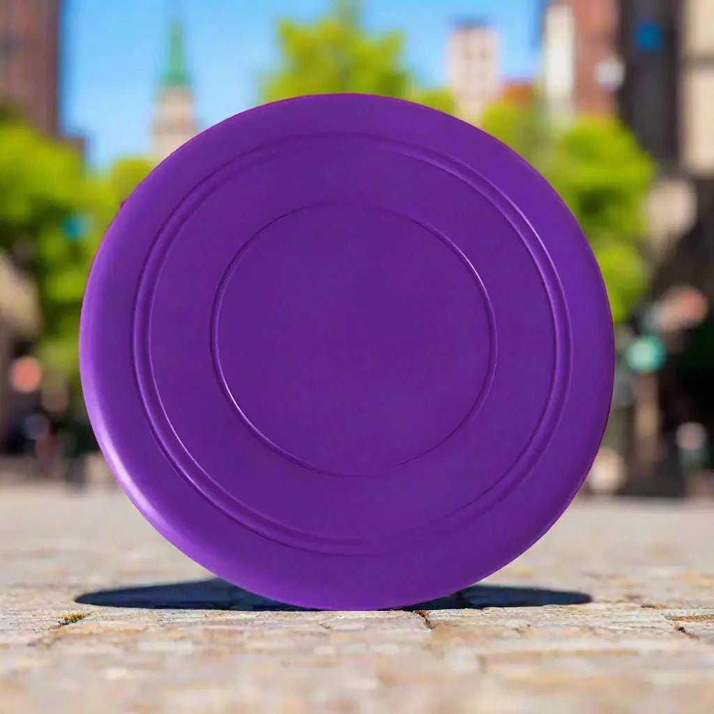 Jouet pour chien - type frisbee CaniJet™ - Le Jeu par excellence tout terrain - Jappy Toutou