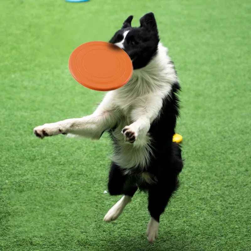 Jouet pour chien - type frisbee CaniJet™ - Le Jeu par excellence tout terrain - Jappy Toutou