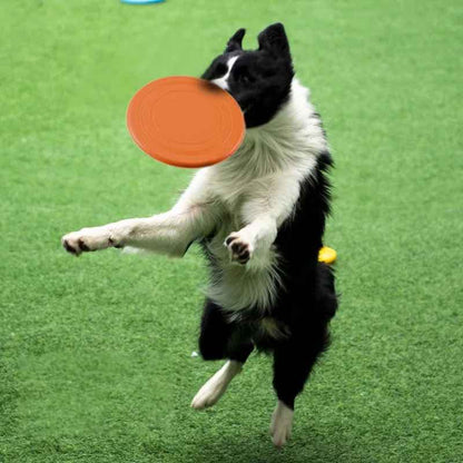 Jouet pour chien - type frisbee CaniJet™ - Le Jeu par excellence tout terrain - Jappy Toutou