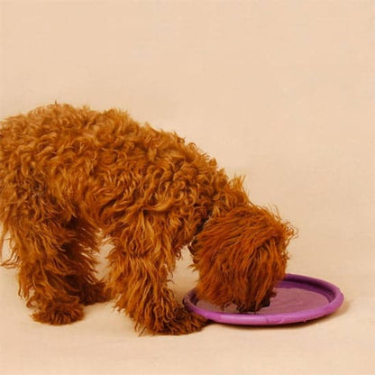 Jouet pour chien - type frisbee CaniJet™ - Le Jeu par excellence tout terrain - Jappy Toutou