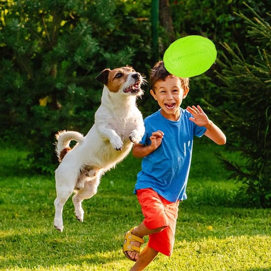 Jouet pour chien - type frisbee CaniJet™ - Le Jeu par excellence tout terrain - Jappy Toutou