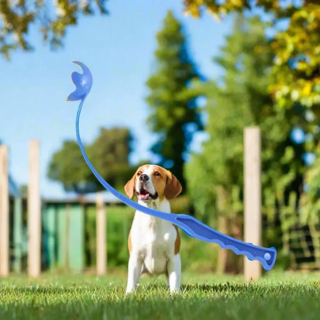 Jouet pour chien - Wouf'n'Go™ : le lanceur qui transforme les jeux - Jappy Toutou