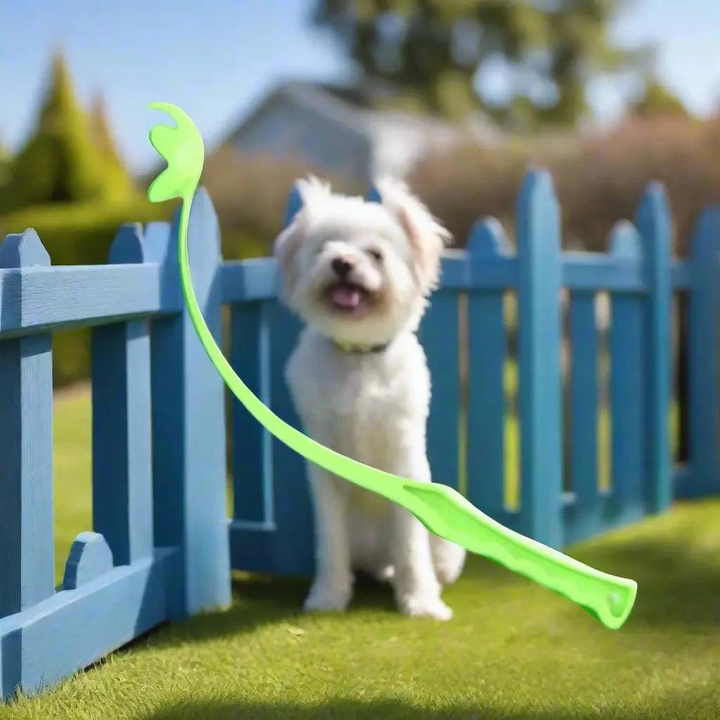 Jouet pour chien - Wouf'n'Go™ : le lanceur qui transforme les jeux - Jappy Toutou