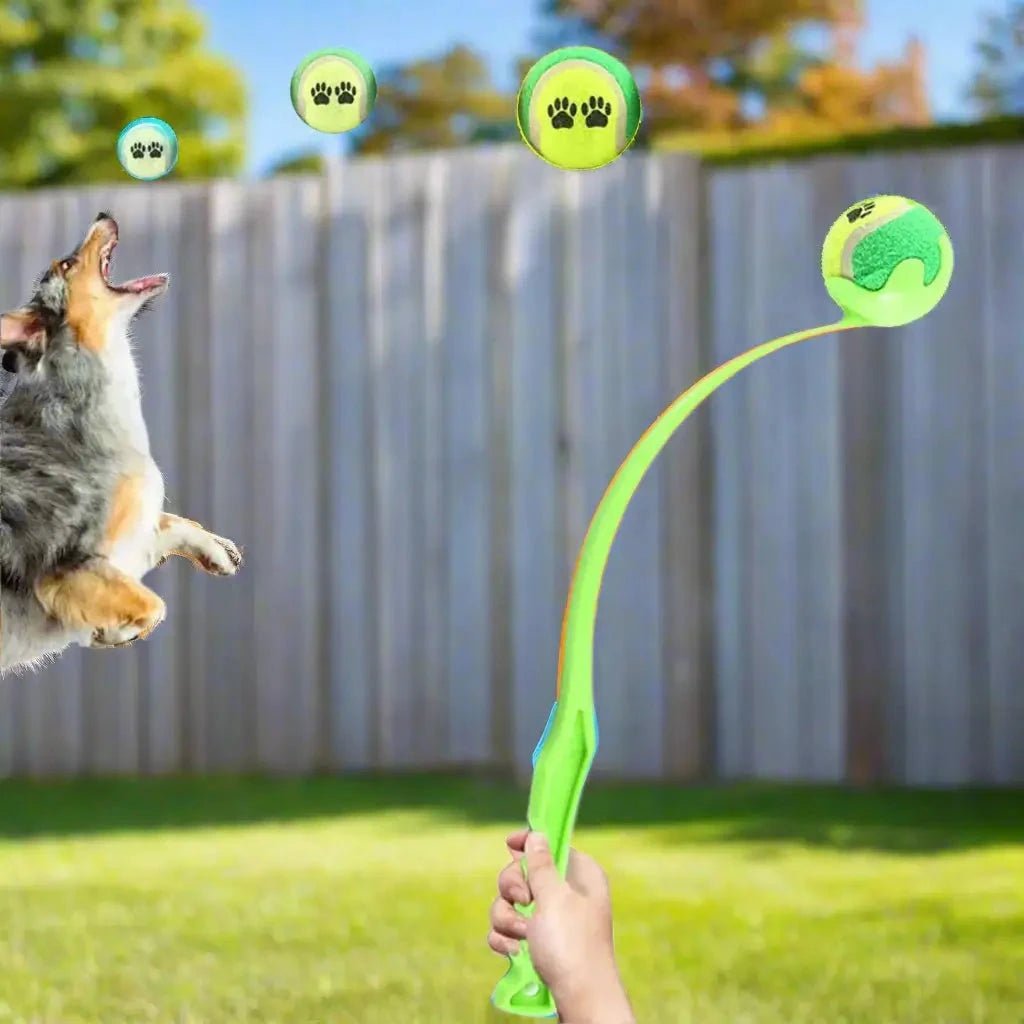 Jouet pour chien - Wouf'n'Go™ : le lanceur qui transforme les jeux - Jappy Toutou