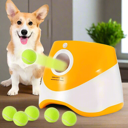 Jouet pour chien | Lance-BalleX™ - Jappy Toutou