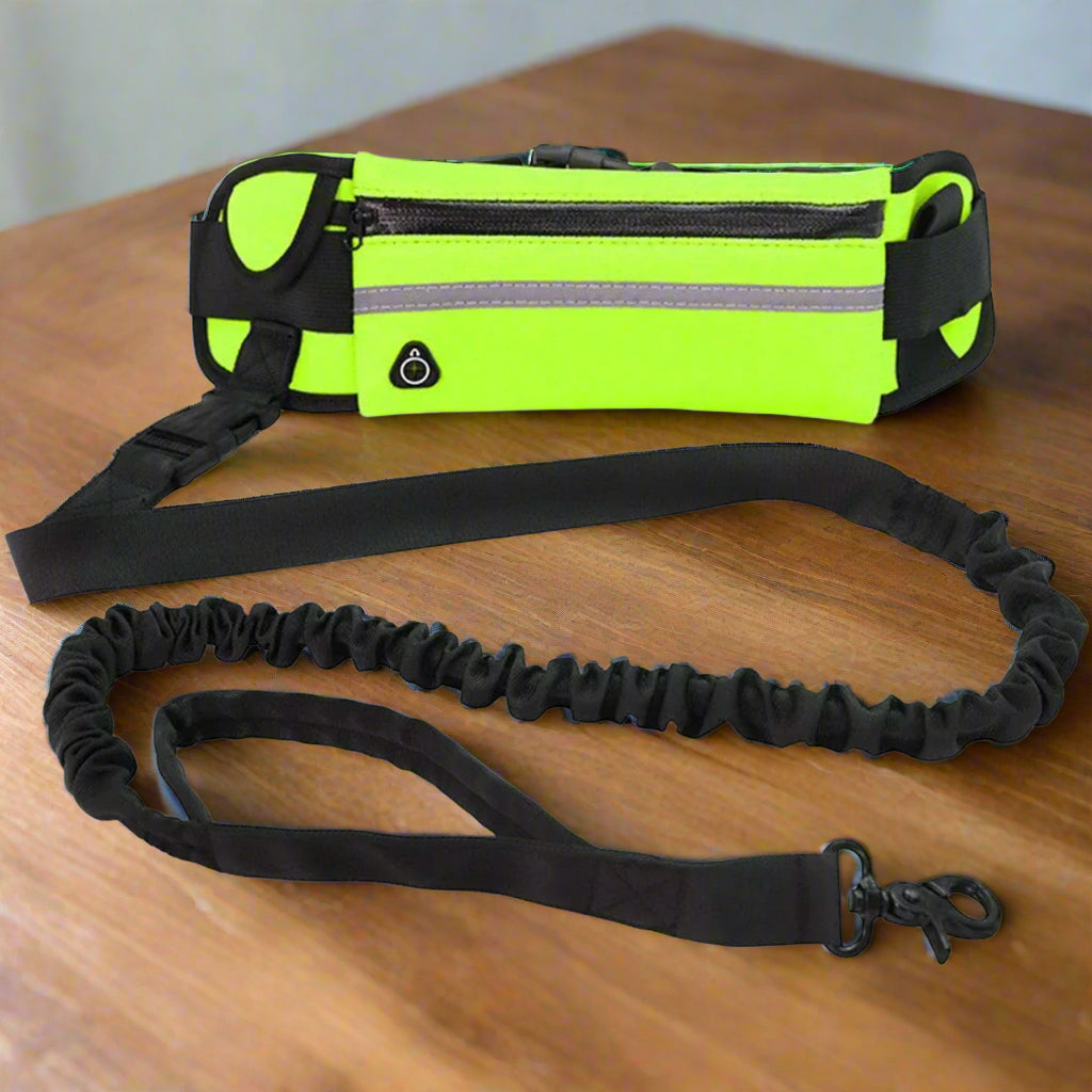 la Laisse main libre chien-FreeBelt™ révolutionne vos activités.