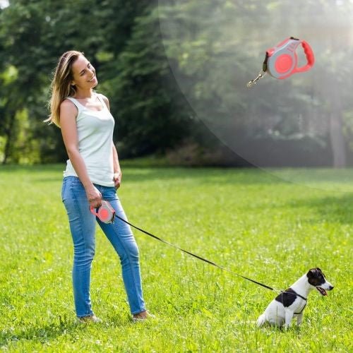 Laisse chien :La laisse Rétractable pour vos Aventures parfaites. - www.JappyToutou.com