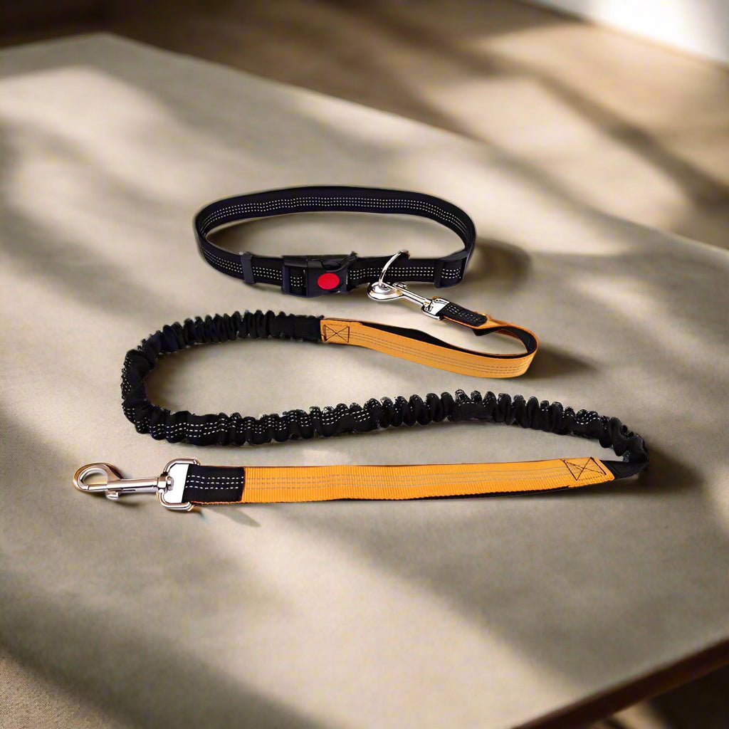 Laisse chien main libre - Paw'Rando™ Choix de couleur
