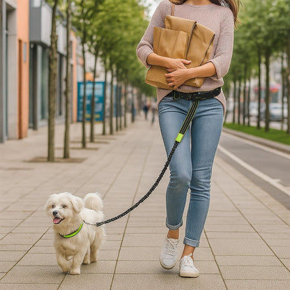 Laisse chien : FreeHand™ La Solution main libre Idéale pour les Promenades Actives - Jappy Toutou