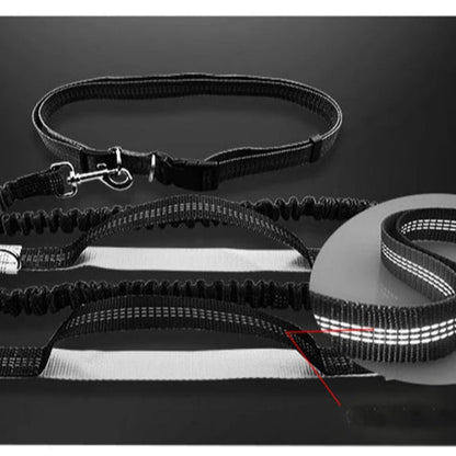 Laisse chien : FreeHand™ La Solution main libre Idéale pour les Promenades Actives - Jappy Toutou