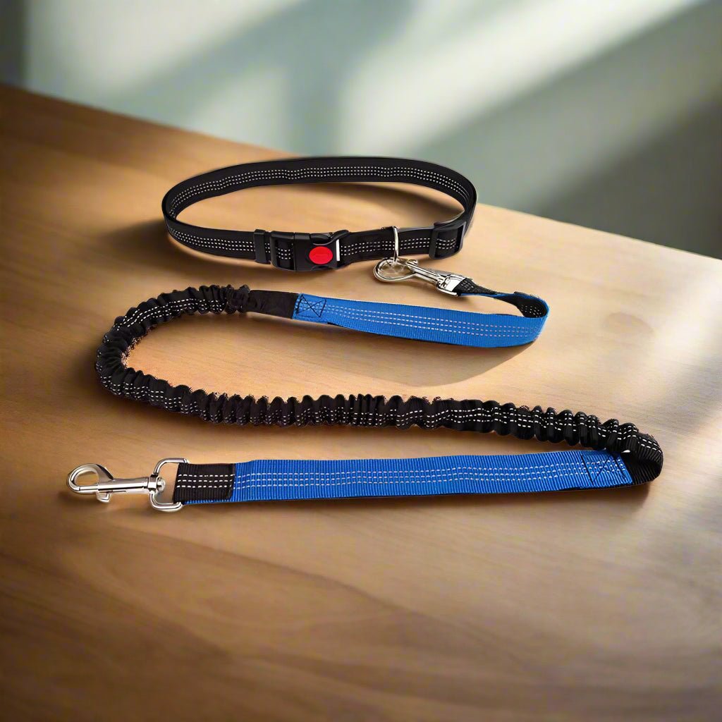 Laisse chien, main libre - Paw'Rando™ Votre nouvelle liberté en randonnée - Jappy Toutou