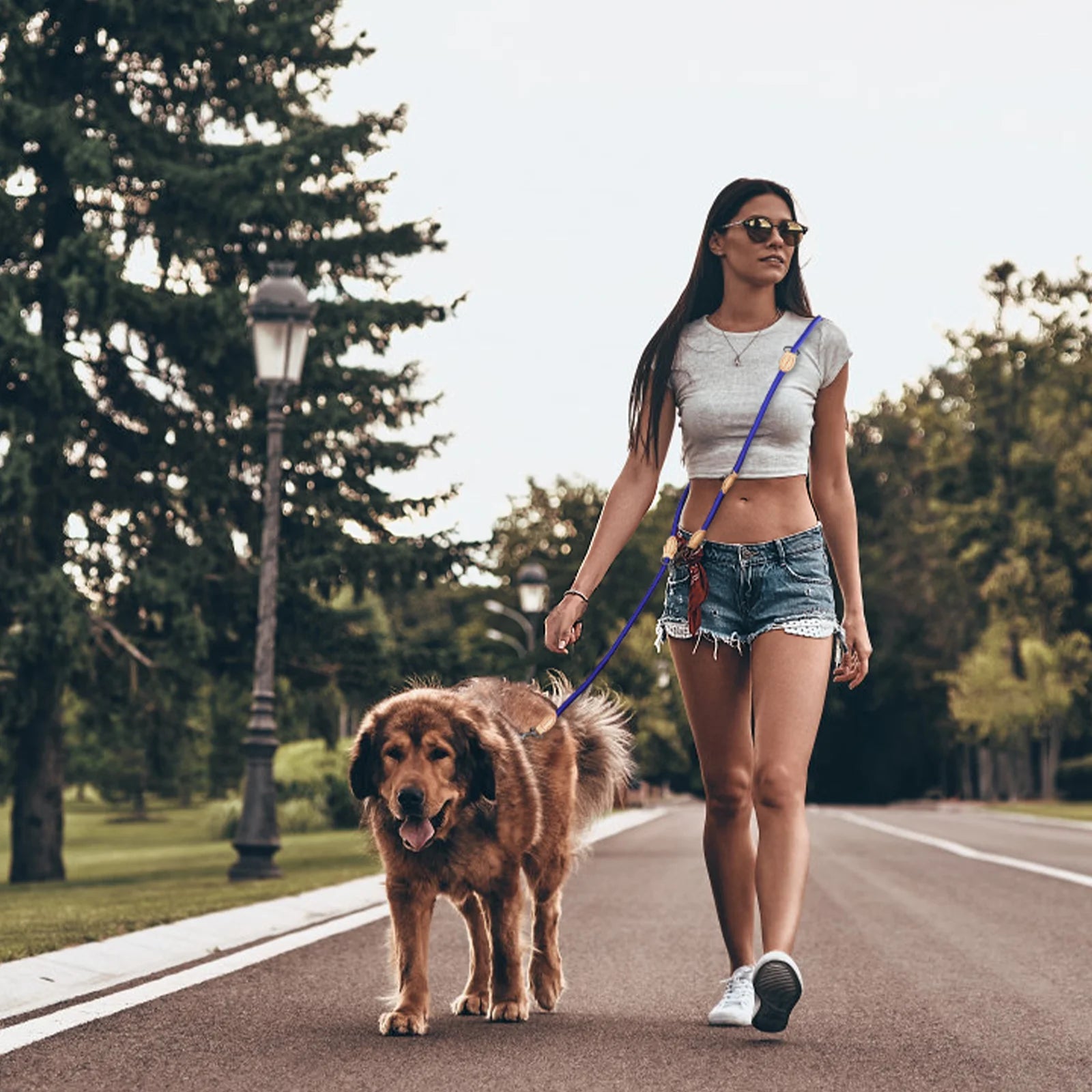 Laisse double pour chien - DuoToutous™ : Promenades sans stress - JappyToutou