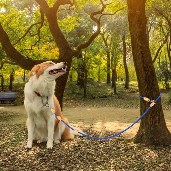 Laisse double pour chien - DuoToutous™ : Promenades sans stress - JappyToutou