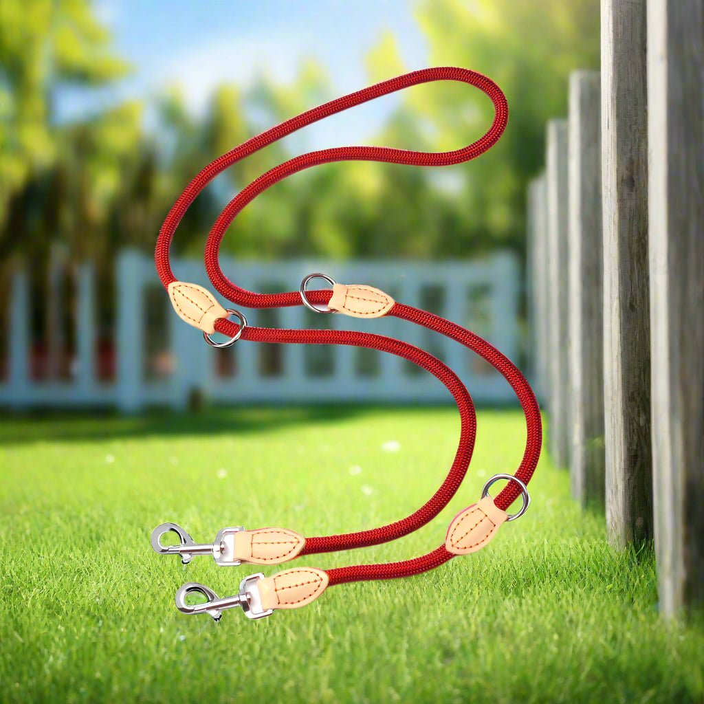 Laisse double pour chien - DuoToutous™ : Promenades sans stress - JappyToutou