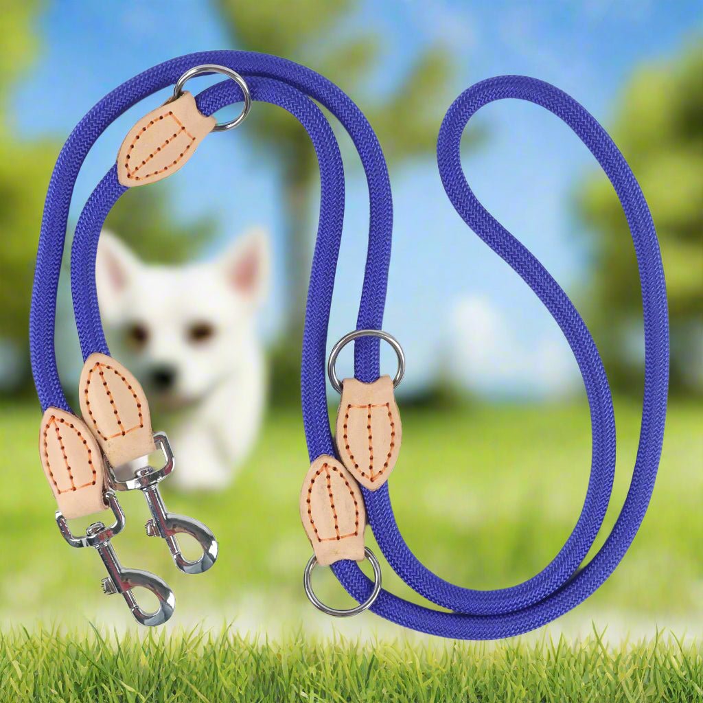 Laisse double pour chien - DuoToutous™ : Promenades sans stress - JappyToutou