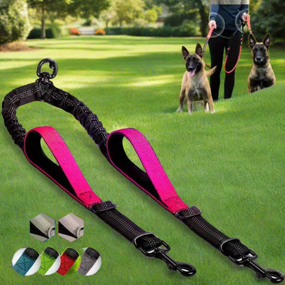 Laisse double pour chien - DuoWalk™ : la solution anti - emmêlement parfaite - Jappy Toutou